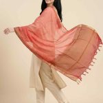 Red Chiffon Silk Pure Banarasi Dupatta With Plain Contrast Colour Concept