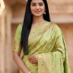 Pista Green Chiniya Silk Pure Banarasi Saree With Floral Zari Jaal Work