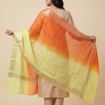 Dual Shade Khaddi Georgette Pure Silk Banarasi Dupatta With Zari Booti Work